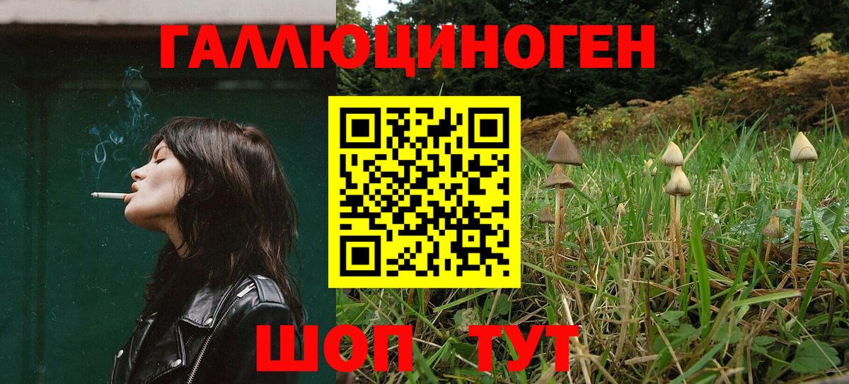 Галлюциногенные грибы прущие грибы Шелехов