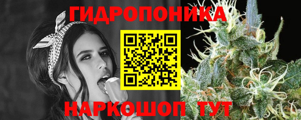Шелехов  Каннабис план  Вход с VPN  Бошки марихуана гибрид  Канабис ГИДРОПОН 